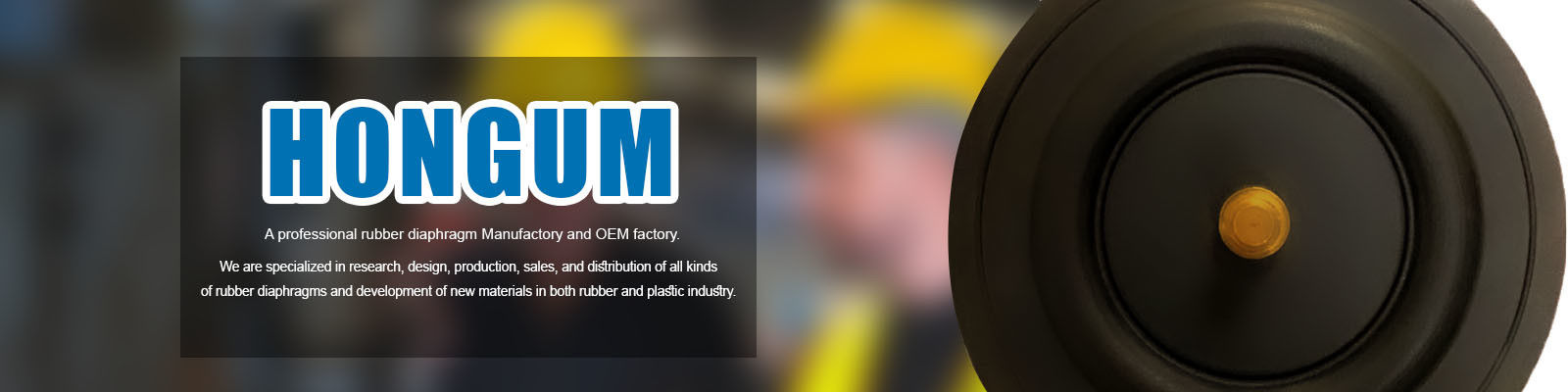 সোলেনয়েড ভালভ ডায়াফ্রাম