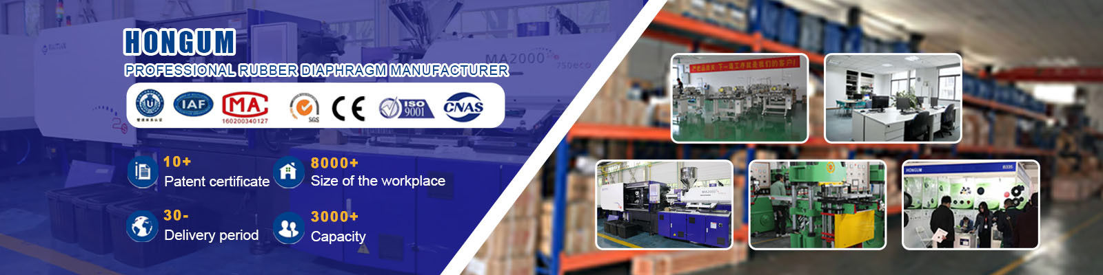 মিটারিং পাম্প ডায়াফ্রাম