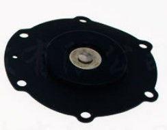 Thread Connection Solenoid Valve Diaphragm With Stainless Steel Construction