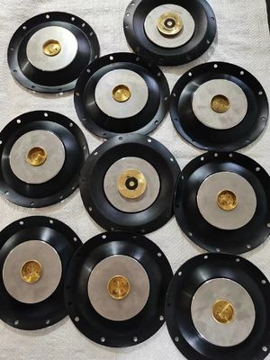 Stainless Steel 24V Solenoid Valve Diaphragm With 10 Bar Pressure Resistance