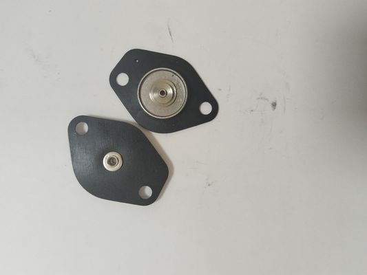 24V Stainless Steel Thread Connection Diaphragm for Solenoid Valve