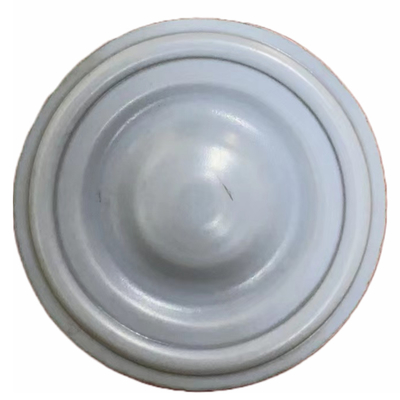 INJECTA ডোজিং / মিটারিং পাম্পের জন্য 100% বিশুদ্ধ PTFE সিলিং রাবার ডায়াফ্রাম