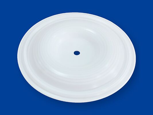 50 মিমি ব্যাসার্ধ দীর্ঘস্থায়ী মিটারিং পাম্প ডায়াফ্রাগম পাম্প দক্ষতা বৃদ্ধি এবং রক্ষণাবেক্ষণ ফ্রিকোয়েন্সি হ্রাস করার জন্য ডিজাইন করা